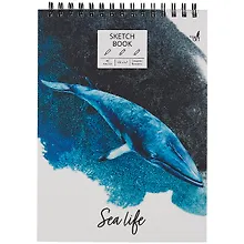 Купить Скетчбук А4 60л "SKETCHBOOK. Синий кит" белый офсет, 100г/м2, тв.обложка, евроспираль — Фото №1