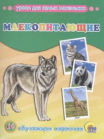 Купить Млекопитающие — Фото №1