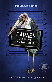 Купить Марабу и другие позвоночные — Фото №1