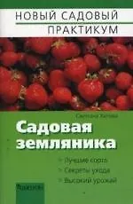 Купить Садовая земляника — Фото №1