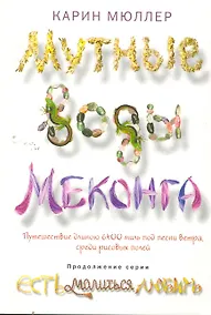 Купить Мутные воды Меконга — Фото №1