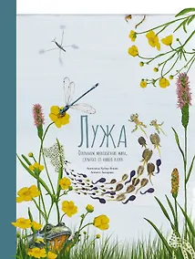 Купить Лужа. Открываем многообразие мира, скрытого от нашего взора — Фото №1