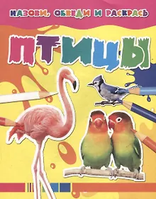 Купить Назови, обведи и раскрась. Птицы — Фото №1