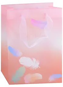 Купить Пакет А5 25*19*8,5 "Перышки" жен., пластик — Фото №1