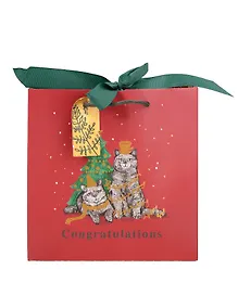 Купить Пакет А5 20*20*8 "Два кота. Congratulations" НГ, бум.мат.ламинат — Фото №1