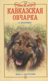 Купить Кавказская овчарка. Мощь и бесстрашие. — Фото №1