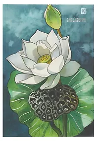 Купить Ежедневник недат. А5- 128л "Белый лотос" 7БЦ, обл.поролон, тисн.фольгой, ламинация Soft Touch,  офсет — Фото №1