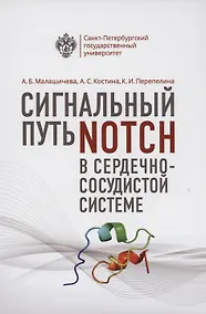 Купить Сигнальный путь Notch в сердечно-сосудистой системе — Фото №1