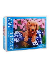 Купить Пазл Милый щенок Рыжий кот 160 элементов У160-7248 — Фото №1