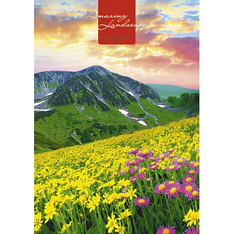 Пейзаж. Цветущая долина КНИГИ ДЛЯ ЗАПИСЕЙ А4 (7БЦ) пейзаж лесное озеро книги для записей а4 7бц