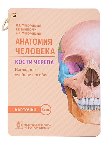 Гайворонский И., Ничипорук Г., Гайворонский А. Анатомия человека. Кости черепа. Карточки: наглядное учебное пособие