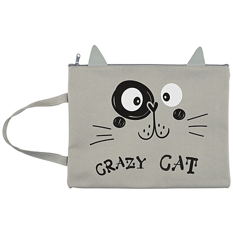 Папка для тетрадей «Crazy cat», B5 папка для тетрадей glitter grey b5