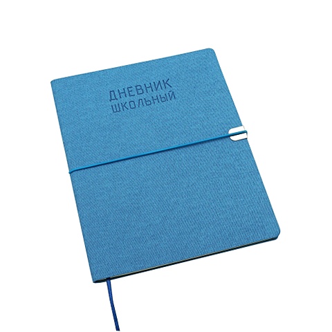 Дневник школьный Original style, 48 листов, голубой школьный дневник голубой кактус