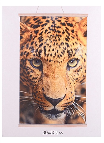 Картина для раскрашивания по номерам. ПАННО. Леопард. 30x50 см картина для раскрашивания по номерам панно котенок 30x50 см