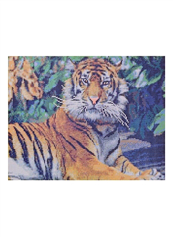 Алмазная мозаика Грозный тигр, 40 х 50 см алмазная мозаика огонь надежды 40 х 40 см 25 цв наклейка 1 шт