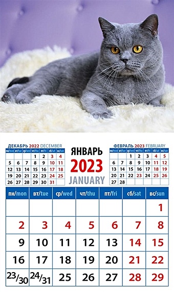 Календарь магнитный на 2023 год Год кота. Настоящий джентльмен