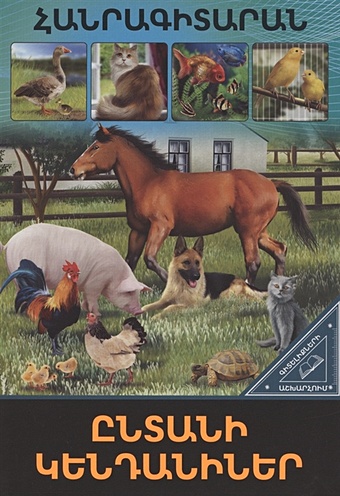 В мире знаний. Домашние животные (на армянском языке) моя первая книга домашние животные на армянском языке