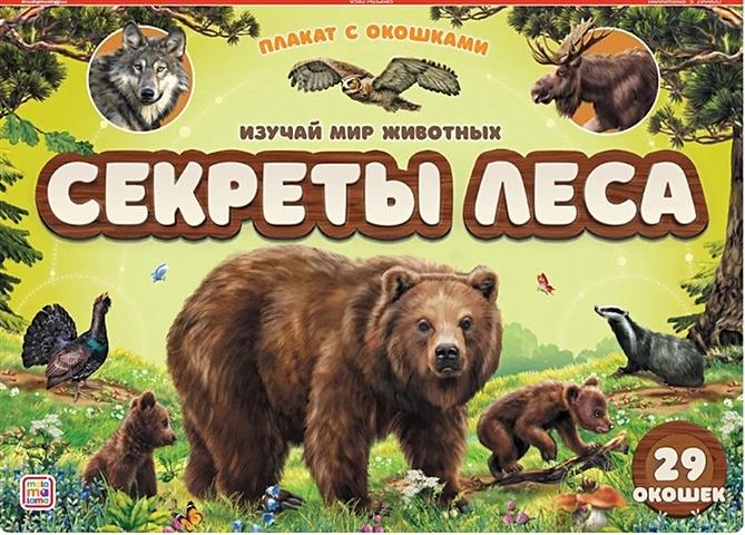 Чекурова С. (худ.) Плакат с окошками. Секреты леса