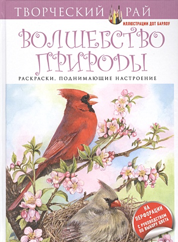 карточка с изображением птиц из дикой природы Волшебство природы. Раскраски, поднимающие настроение