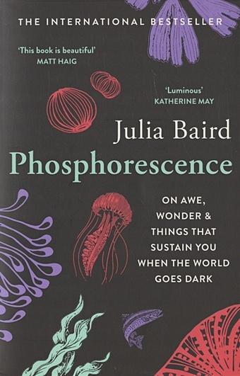 Baird J. Phosphorescence: On Awe, Wonder & Things That Sustain You When the World Goes Dark abey katie we feel happy