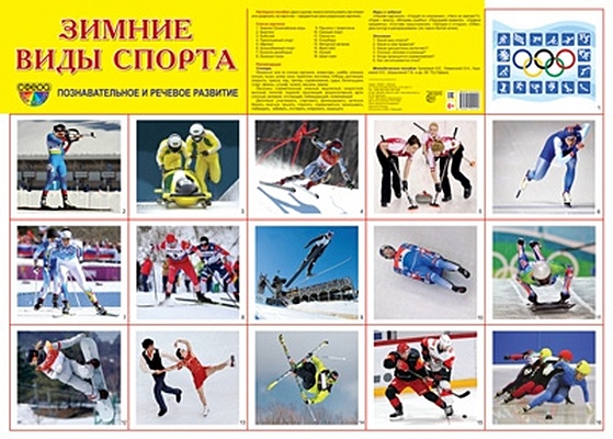 Демонстрационный плакат Зимние виды спорта (А2) плакат игра летние виды спорта