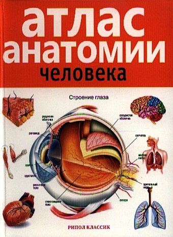 Красичкова (ред.) Атлас анатомии человека
