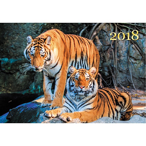 символ года нежность однобл 310х420 календари 2018 квартальные Живая планета. Тигры (однобл. 310х420) ***КАЛЕНДАРИ 2018_ КВАРТАЛЬНЫЕ