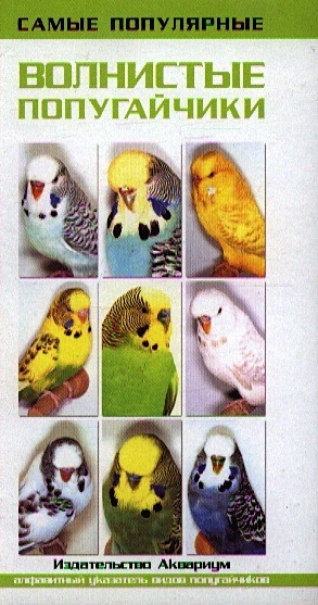Самые популярные волнистые попугайчики цена и фото