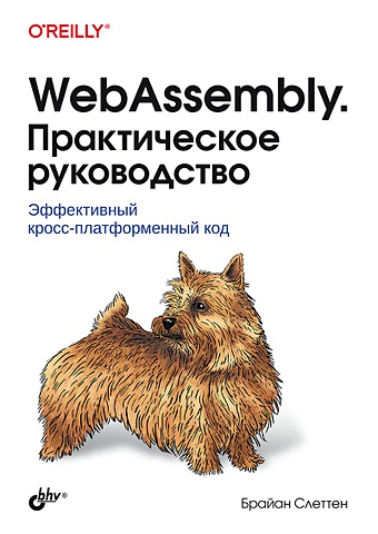 Слеттен Б. WebAssembly. Практическое руководство галлан жерар webassembly в действии с примерами на с и emscripten