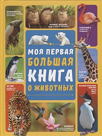 Ермакович Дарья Ивановна, Вайткене Любовь Дмитриевна Моя первая большая книга о животных