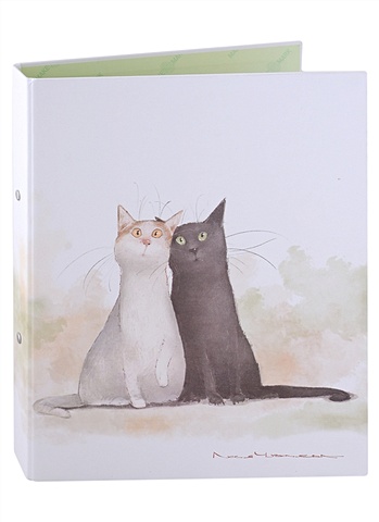 Папка 2кольца А4 Коты. Павлик и Валера, лам.картон набор для творчества картина по номерам коты павлик и валера