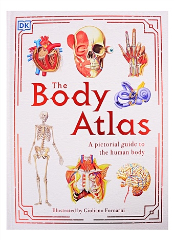The Body Atlas 2020 new edition of world atlas high definition printing bilingual chinese and english atlas of various countries and regions