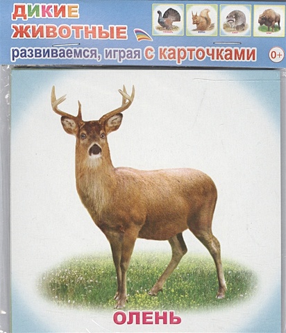 обучающие карточки дикие животные леса на армянском языке Обучающие карточки. Дикие животные