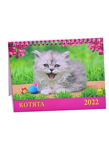 Календарь настольный на 2022 год Котята календарь настольный на 2023 год мир грез