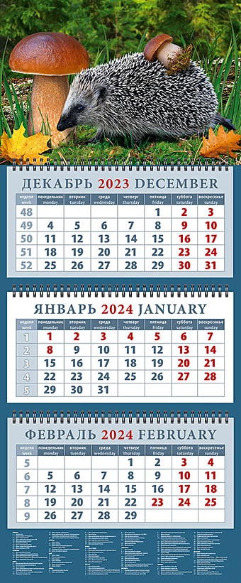 Календарь квартальный 2024г 320*760 Ежик с грибом настенный, трёхблочный, спираль календарь квартальный на 2023 год ежик с грибами