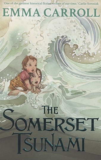 Carroll, Emma The Somerset Tsunami follett k a dangerous fortune