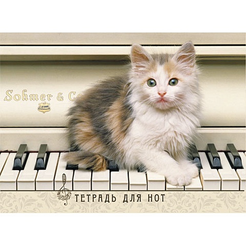 Котёнок и пианино ТЕТРАДИ ДЛЯ НОТ (*скрепка). 16 листов котёнок и пианино тетради для нот скрепка 16 листов