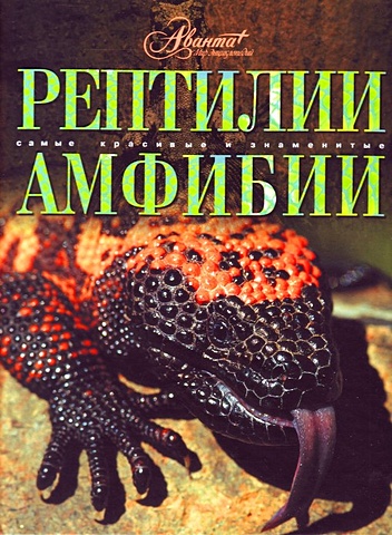 Дунаев Евгений Анатольевич Рептилии. Амфибии динозавры рептилии амфибии