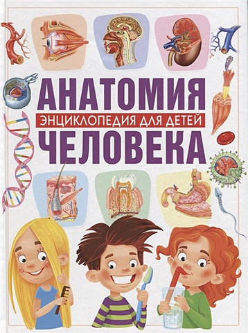 Гуиди В. Анатомия человека. Энциклопедия для детей анатомия человека для детей иллюстрированная энциклопедия