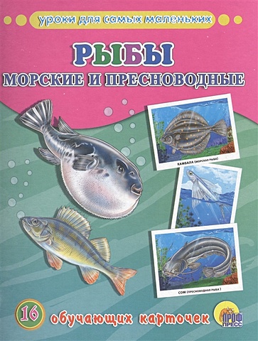Обучающие Карточки. Рыбы Морские И Пресноводные дидактические карточки весна дизайн рыбы морские и пресноводные д 283 33х21 см
