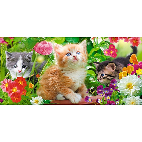 В мире животных. Котята и цветы ПАЗЛЫ МАКСИ-ПЭК
