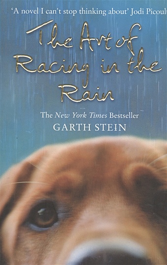 Stein G. The Art of Racing in the Rain. A Novel