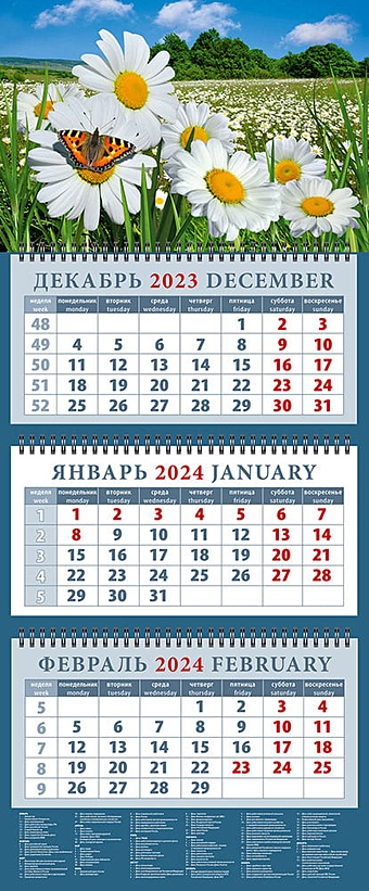 Календарь квартальный 2024г 320*760 Пейзаж с ромашками и бабочкой настенный, трёхблочный, спираль