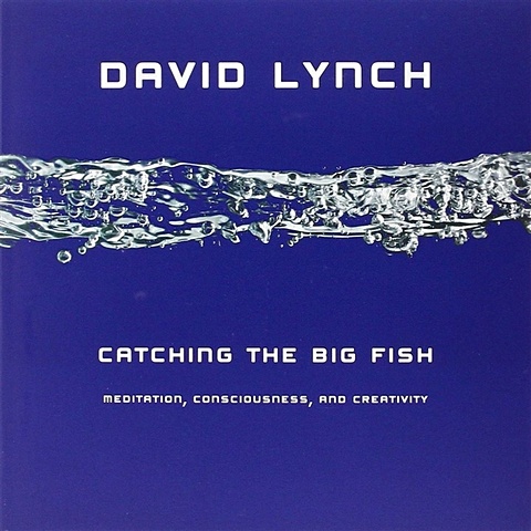 burns anna milkman Lynch D. Catching the Big Fish : Meditation, Consciousness and Creativity