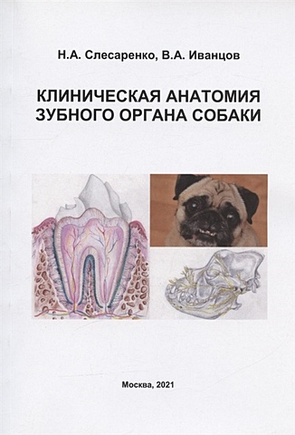 Слесаренко Н.А.,Иванцов В.А. Клиническая анатомия зубного органа собаки. Учебно-методическое пособие