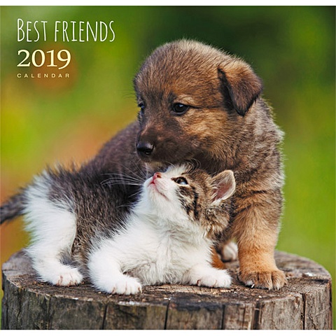 домашние любимцы веселые собаки календари 2019 настенные перекидные Домашние любимцы. Лучшие друзья ***КАЛЕНДАРИ 2019_ НАСТЕННЫЕ ПЕРЕКИДНЫЕ