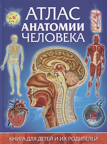 Гуиди В. Атлас анатомии человека. Книга для детей и их родителей всезнайкина энциклопедия книга для детей и их родителей