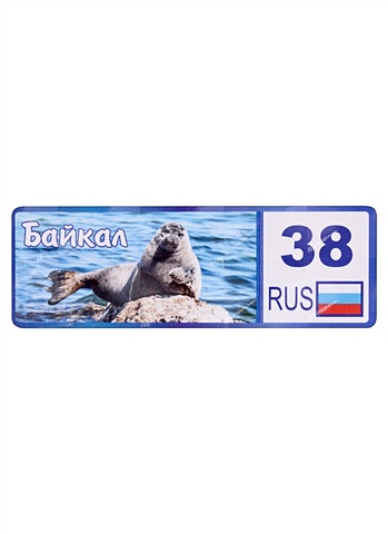 ГС Магнит Байкал Байкальская нерпа номер региона (дерево)(11х4см)