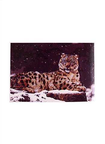 Раскраска по номерам на картоне Снежный барс, 20х30 см раскраска по номерам на картоне милая панда 20х30 см