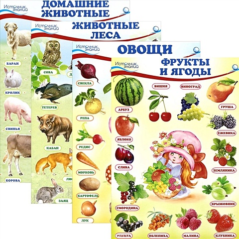 Комплект познавательных мини-плакатов: Окружающий мир. Животные и растения комплект познавательных мини плакатов домашние лесные животные фрукты и ягоды овощи